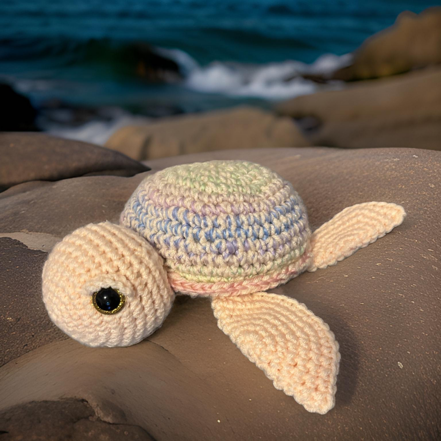 Sea Turtle